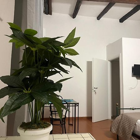 Ferienwohnung Il Portale 2 Tropea Exterior foto