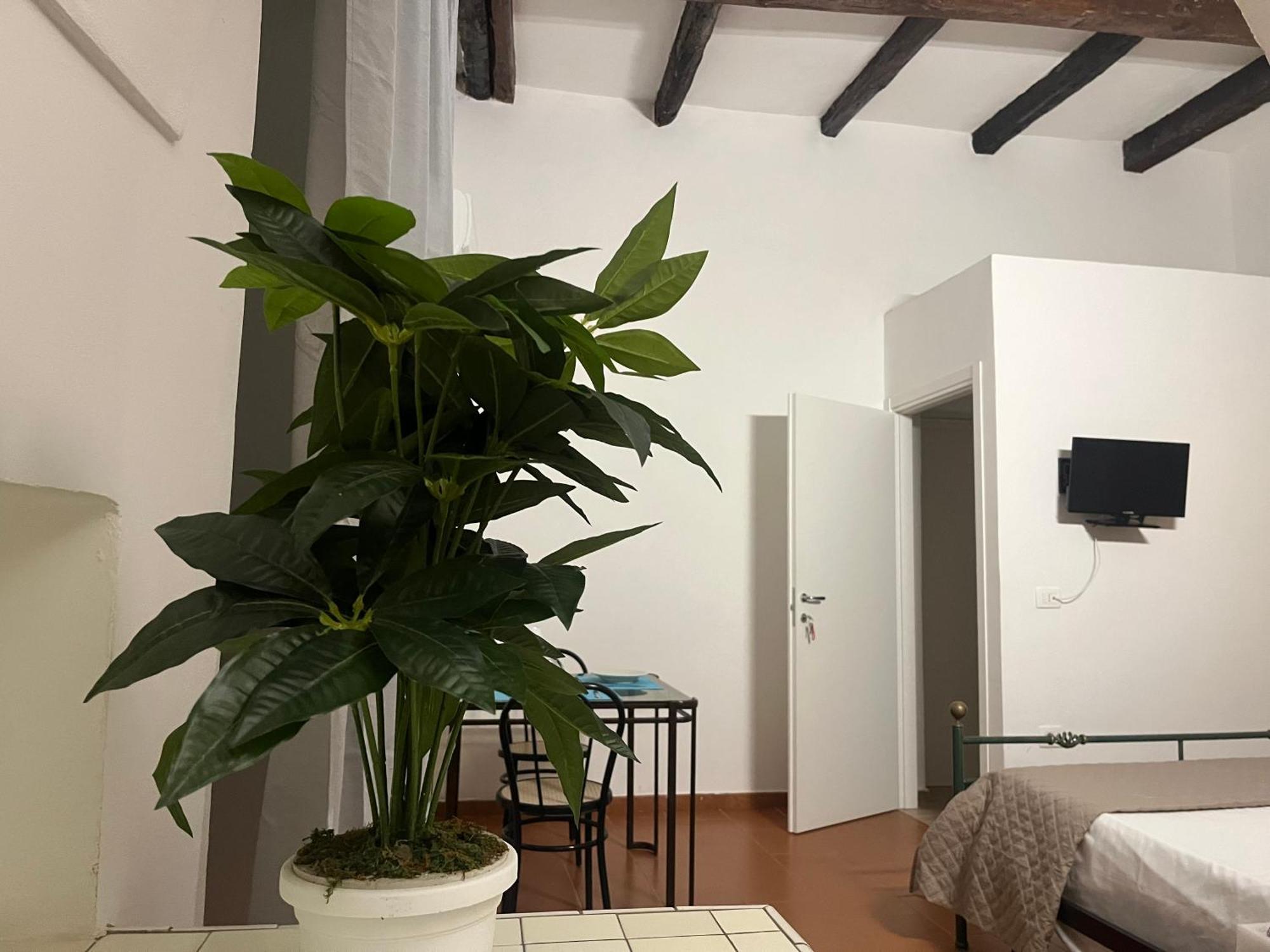 Ferienwohnung Il Portale 2 Tropea Exterior foto